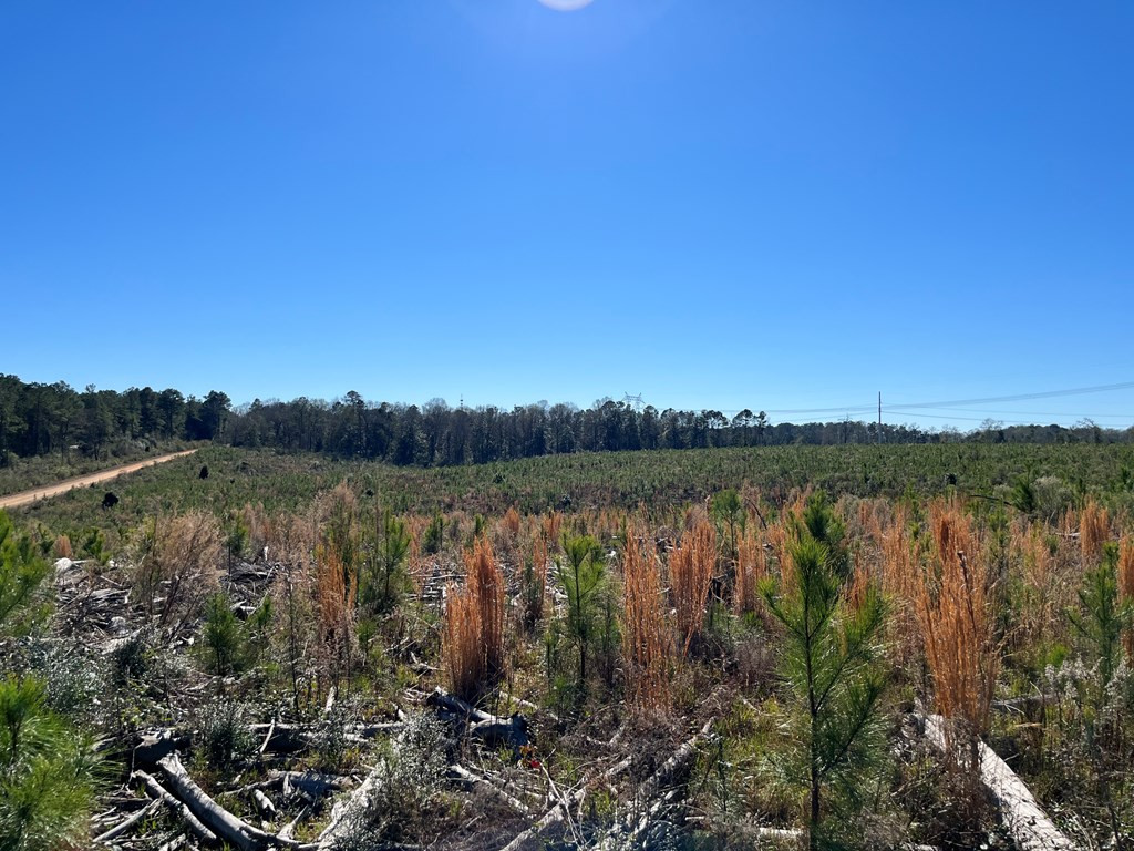 0 Maple Lane Summit, MS 39666 - Photo 2 of 11 Photo 2