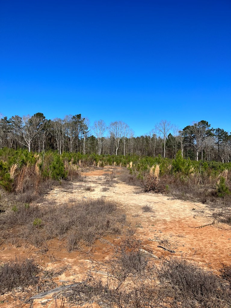 0 Maple Lane Summit, MS 39666 - Photo 3 of 11 Photo 3