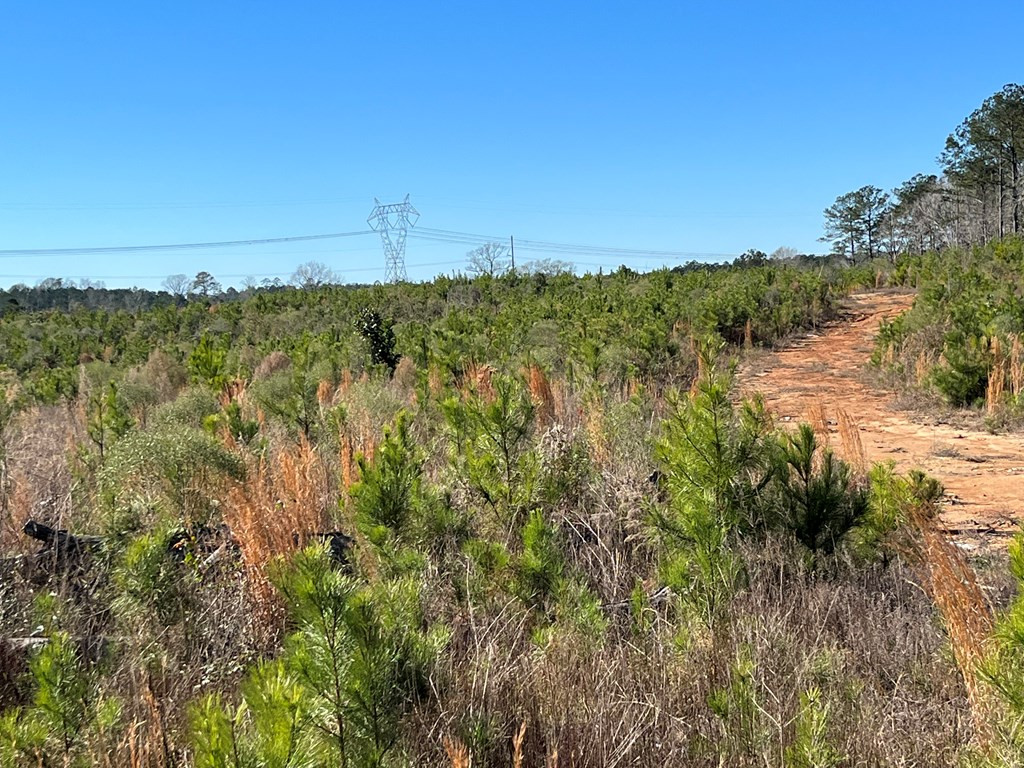 0 Maple Lane Summit, MS 39666 - Photo 6 of 11 Photo 6