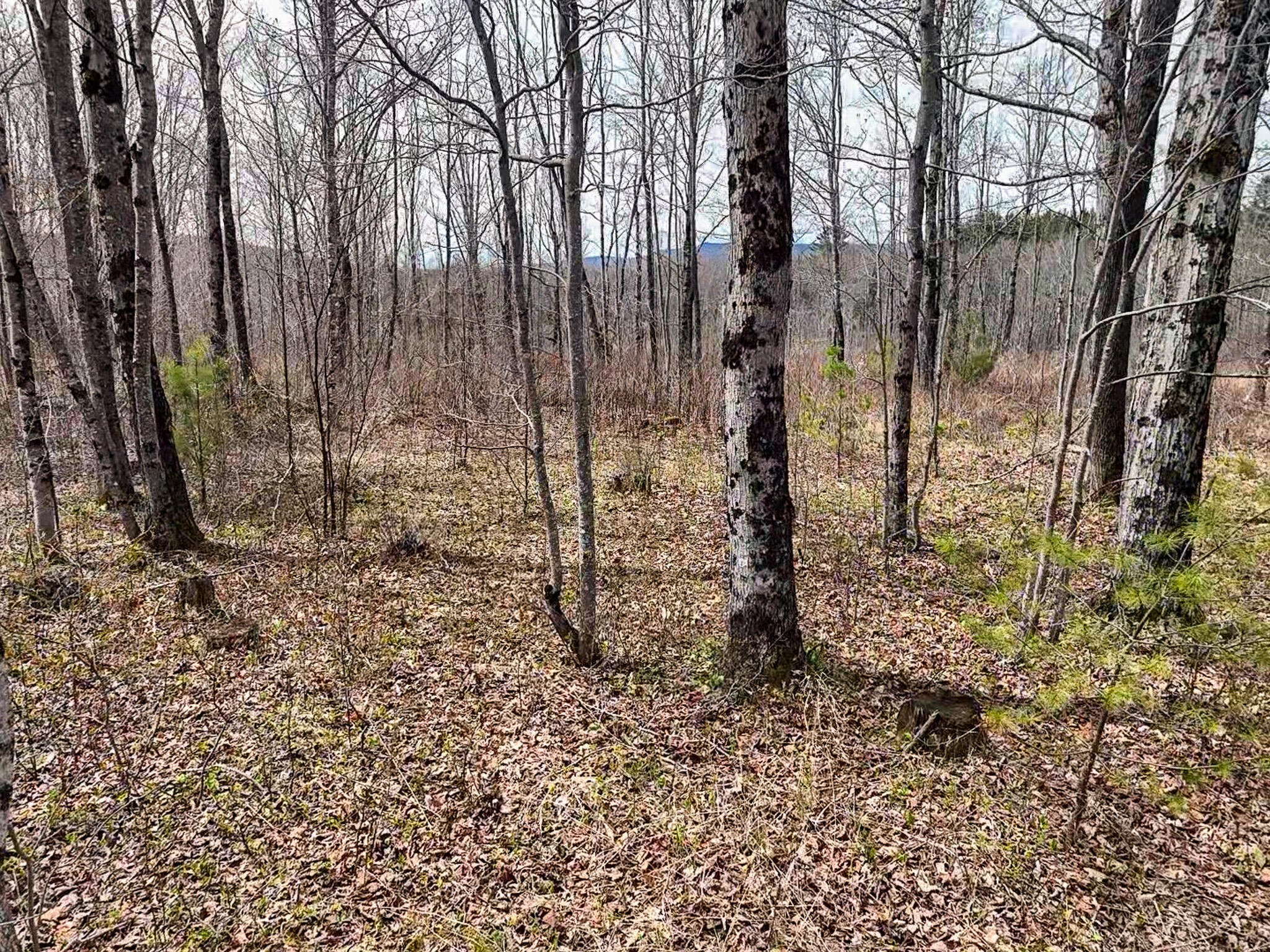 0 Center Hill Road Weld, ME 04285 - Photo 13 of 18 2026-05-09-11-13-09-435