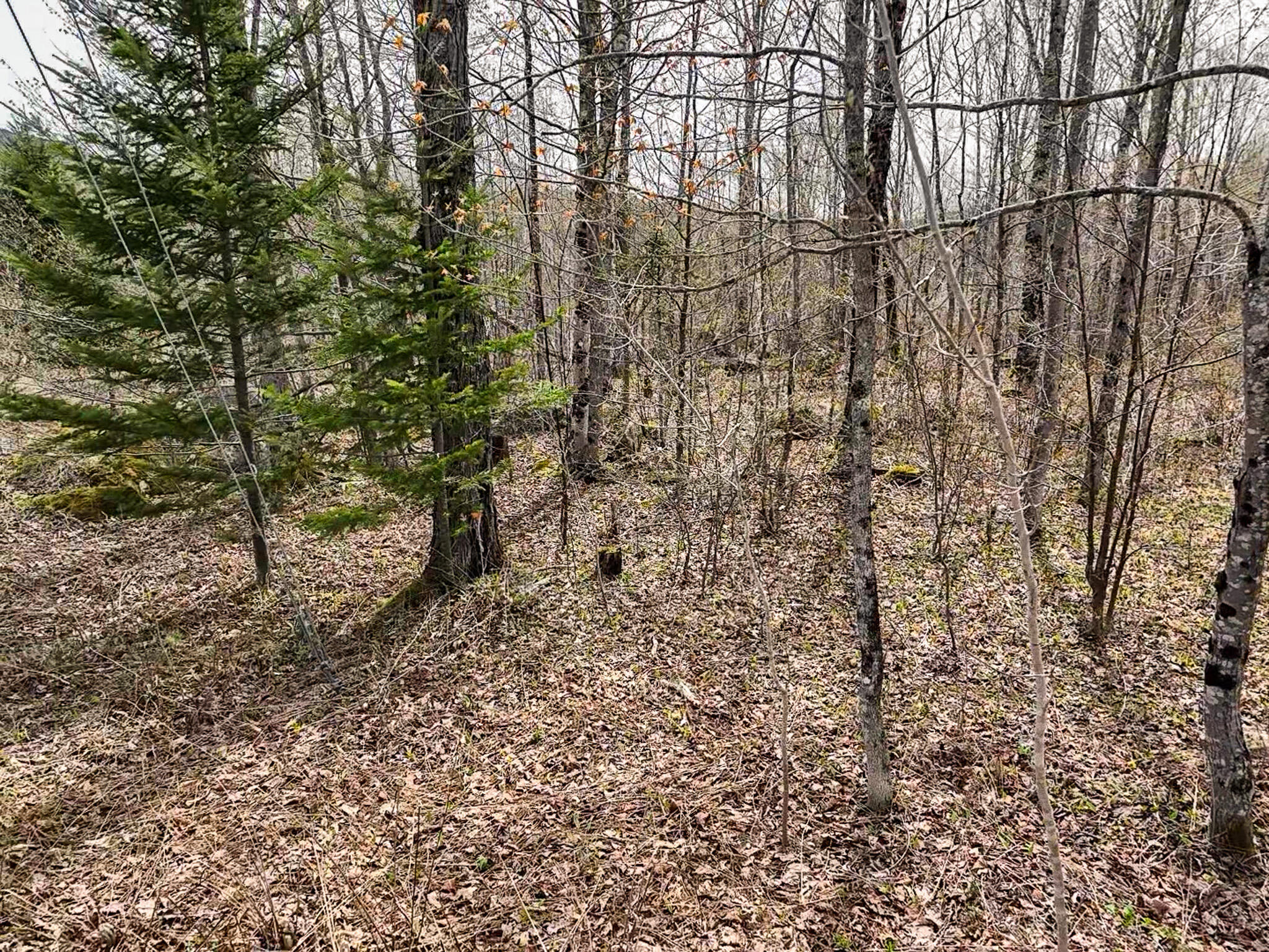 0 Center Hill Road Weld, ME 04285 - Photo 16 of 18 2026-05-09-11-13-13-488