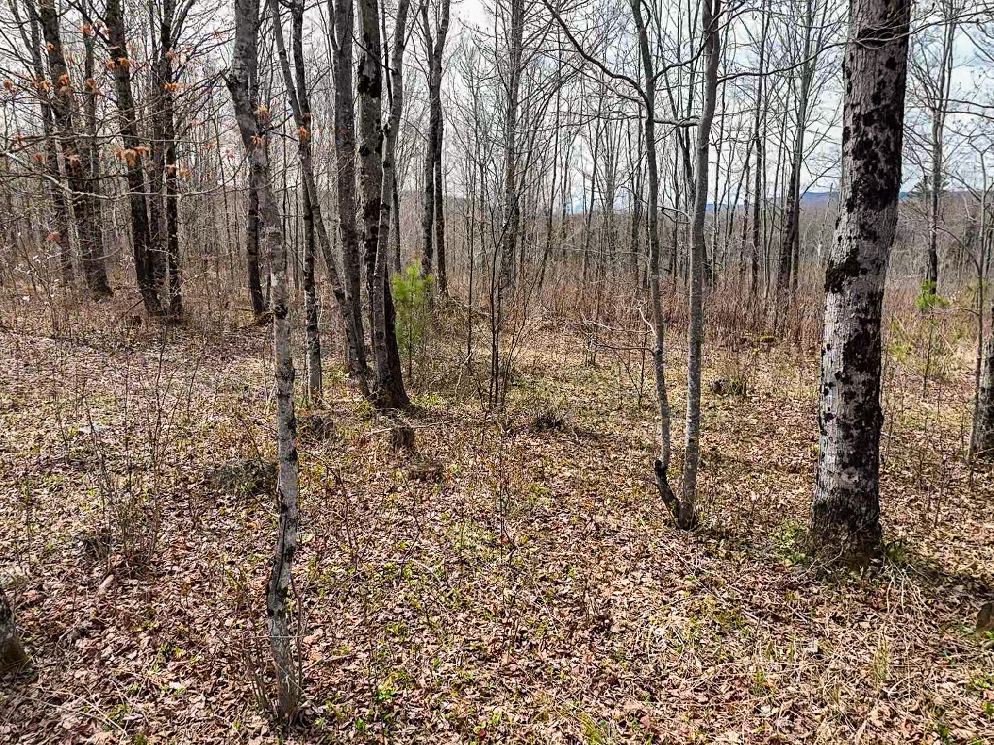 0 Center Hill Road Weld, ME 04285 - Photo 17 of 18 2026-05-09-11-13-15-365