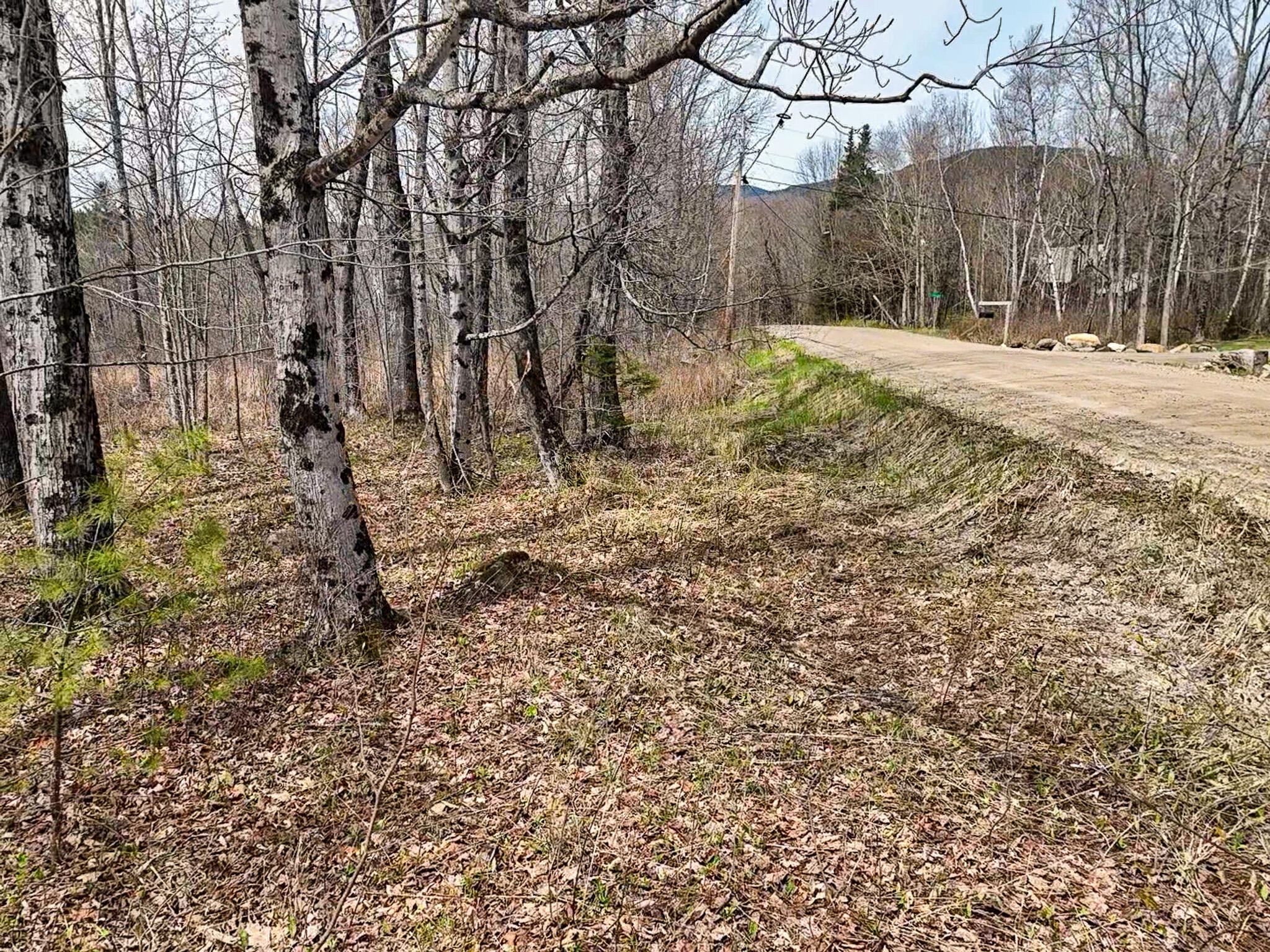 0 Center Hill Road Weld, ME 04285 - Photo 18 of 18 2026-05-09-11-13-19-369