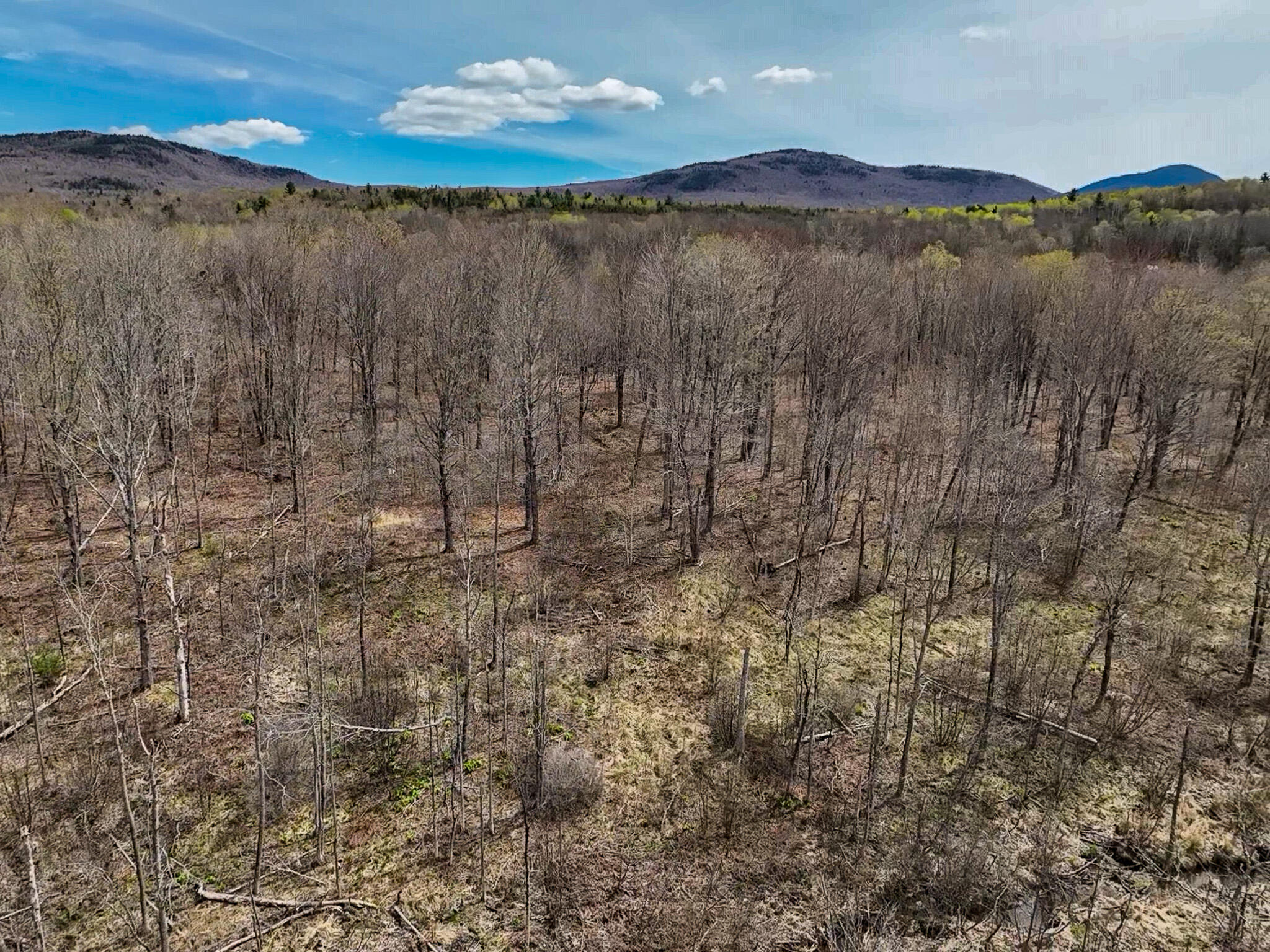 0 Center Hill Road Weld, ME 04285 - Photo 7 of 18 2026-05-09-11-10-12-616