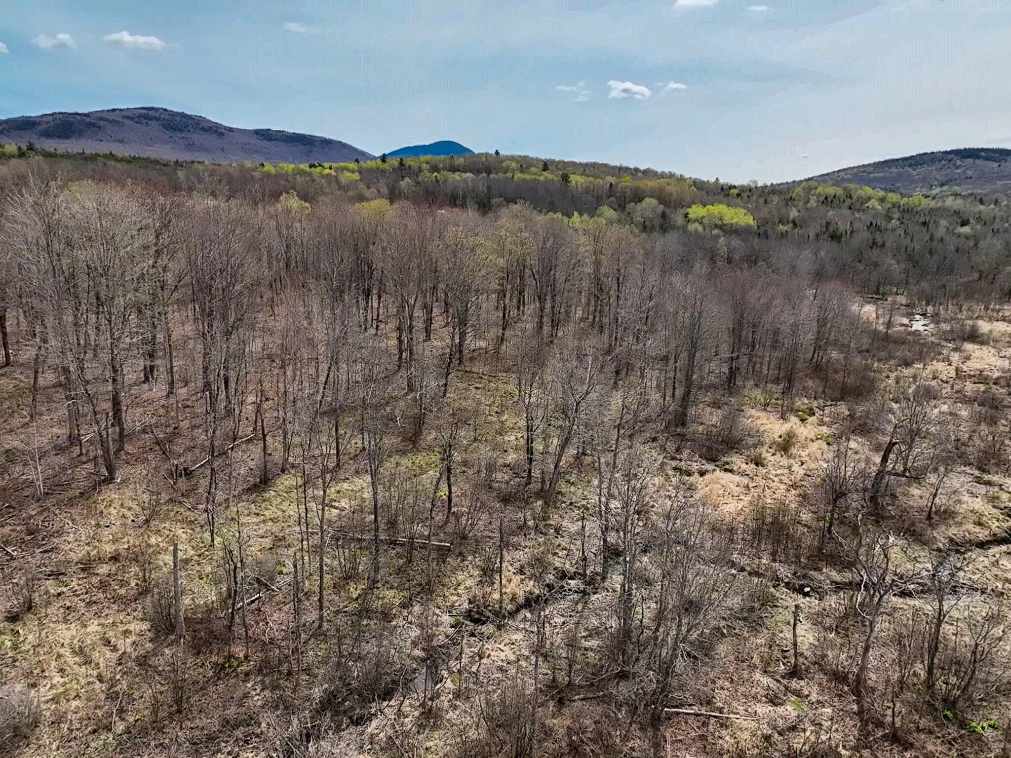 0 Center Hill Road Weld, ME 04285 - Photo 8 of 18 2026-05-09-11-10-14-200