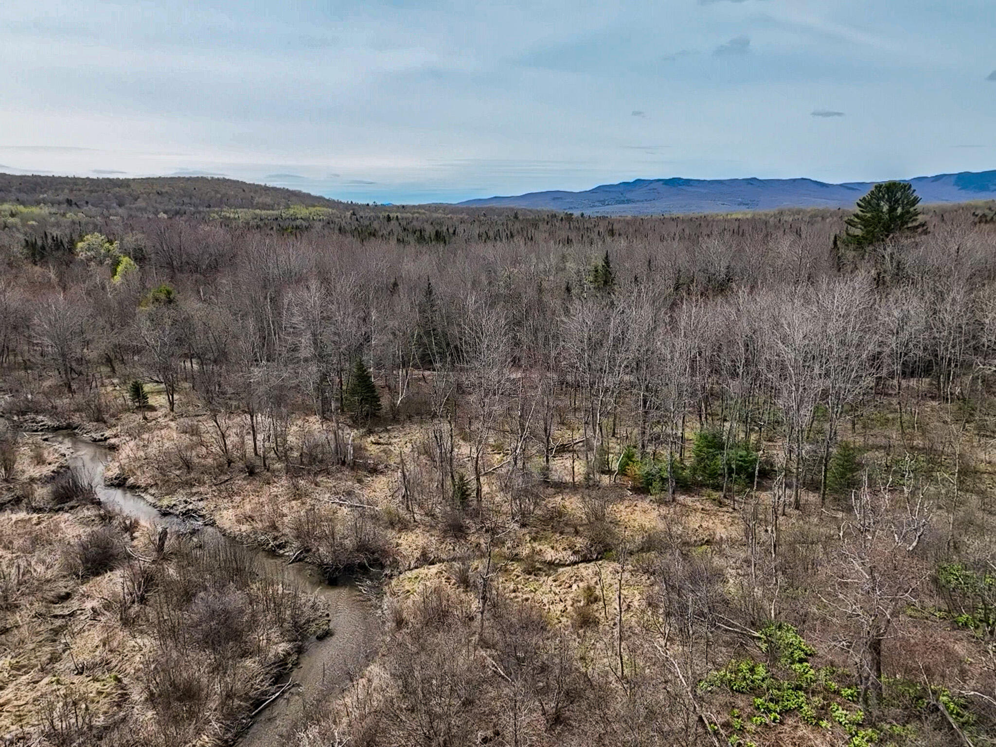 0 Center Hill Road Weld, ME 04285 - Photo 9 of 18 2026-05-09-11-10-17-992