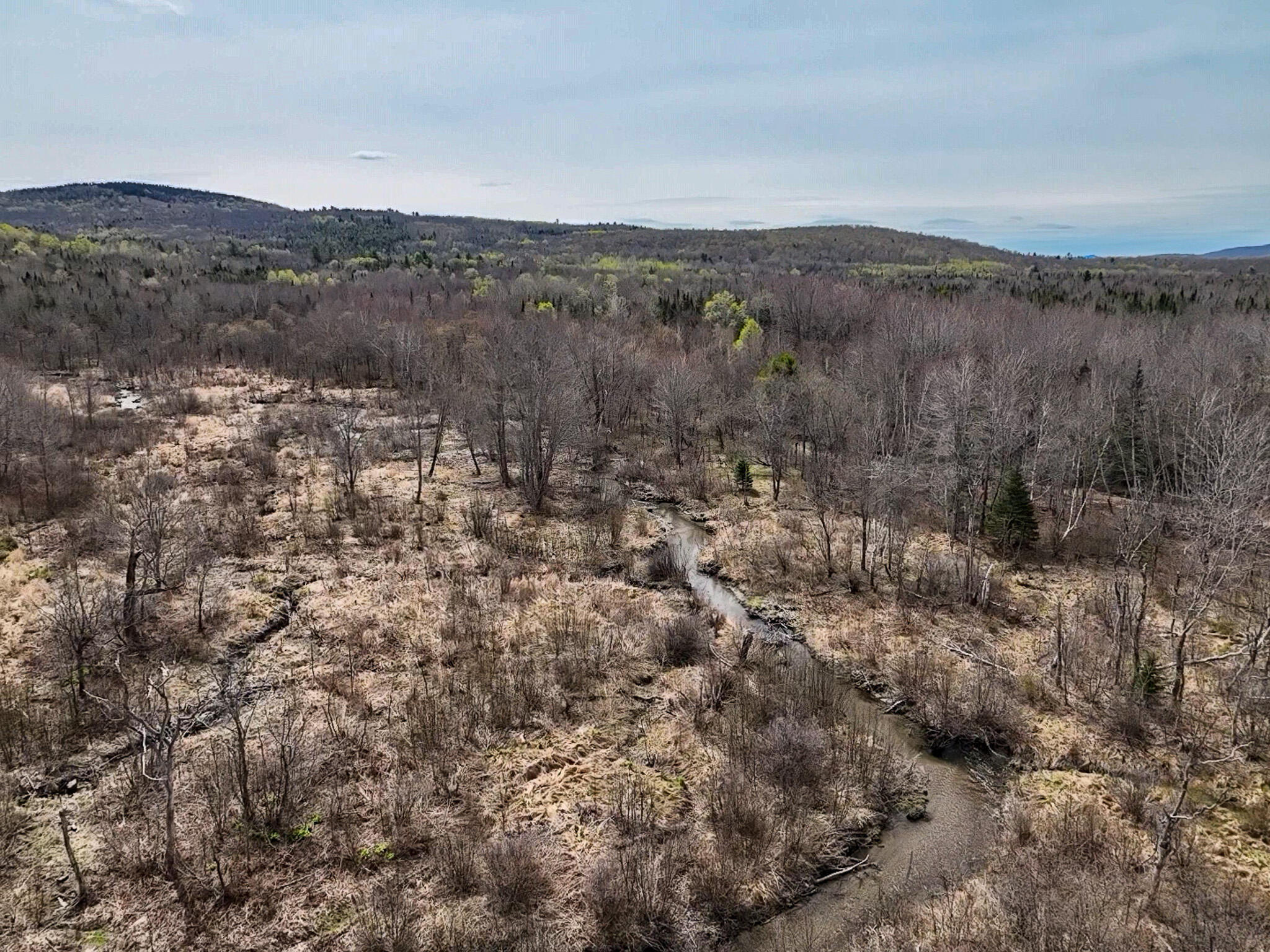 0 Center Hill Road Weld, ME 04285 - Photo 10 of 18 2026-05-09-11-10-20-000