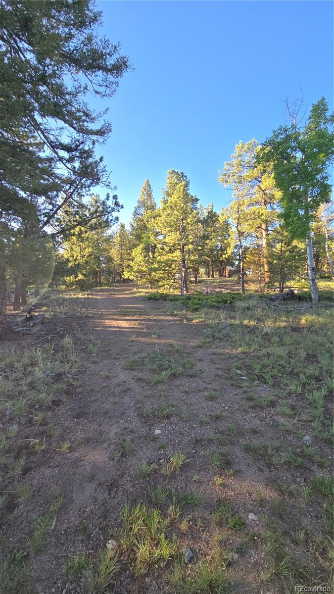 Chubb Court Hartsel, CO 80449 - Photo 12 of 17 a view of dirt field with large trees