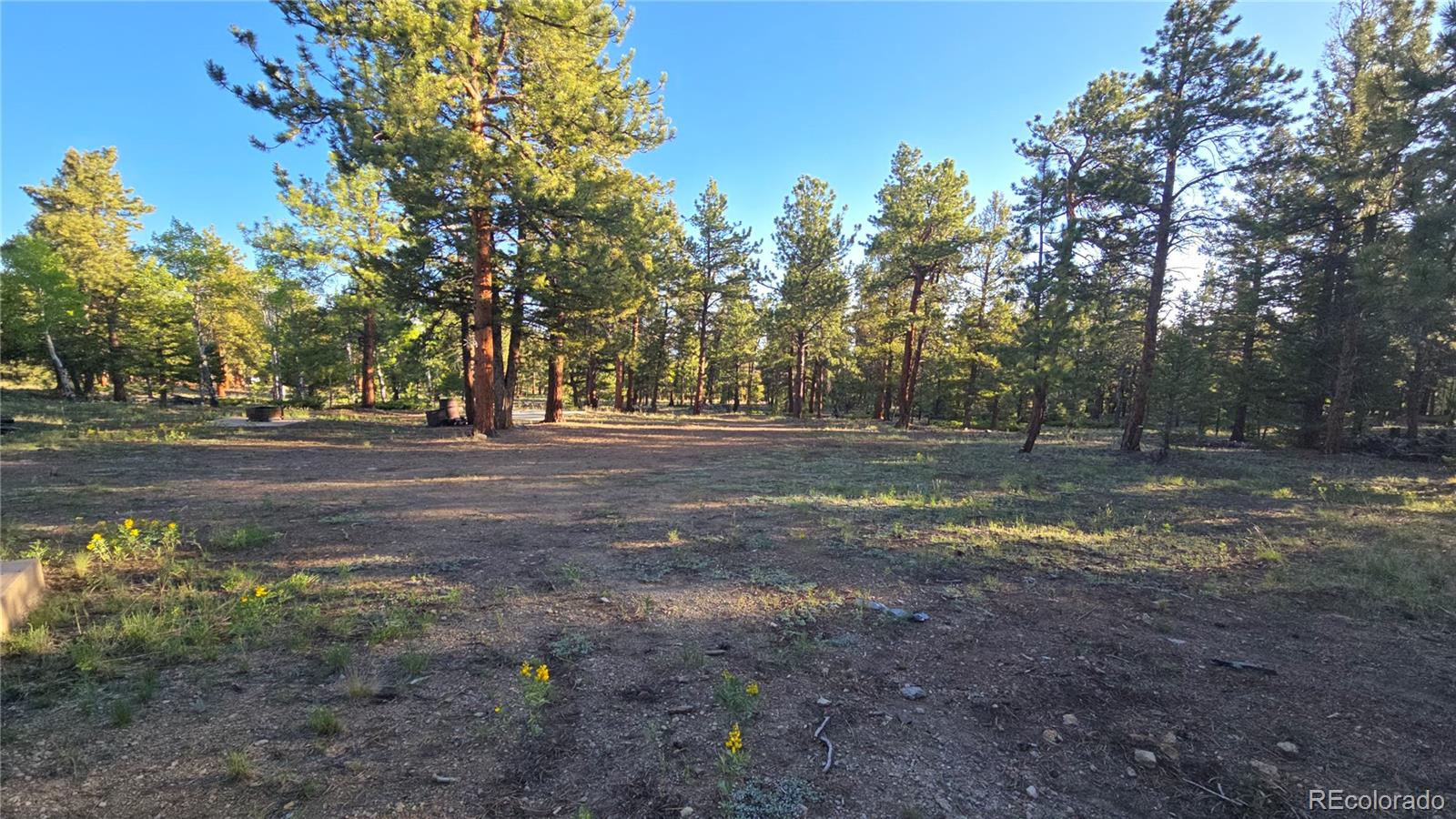 Chubb Court Hartsel, CO 80449 - Photo 14 of 17 a view of dirt field with trees