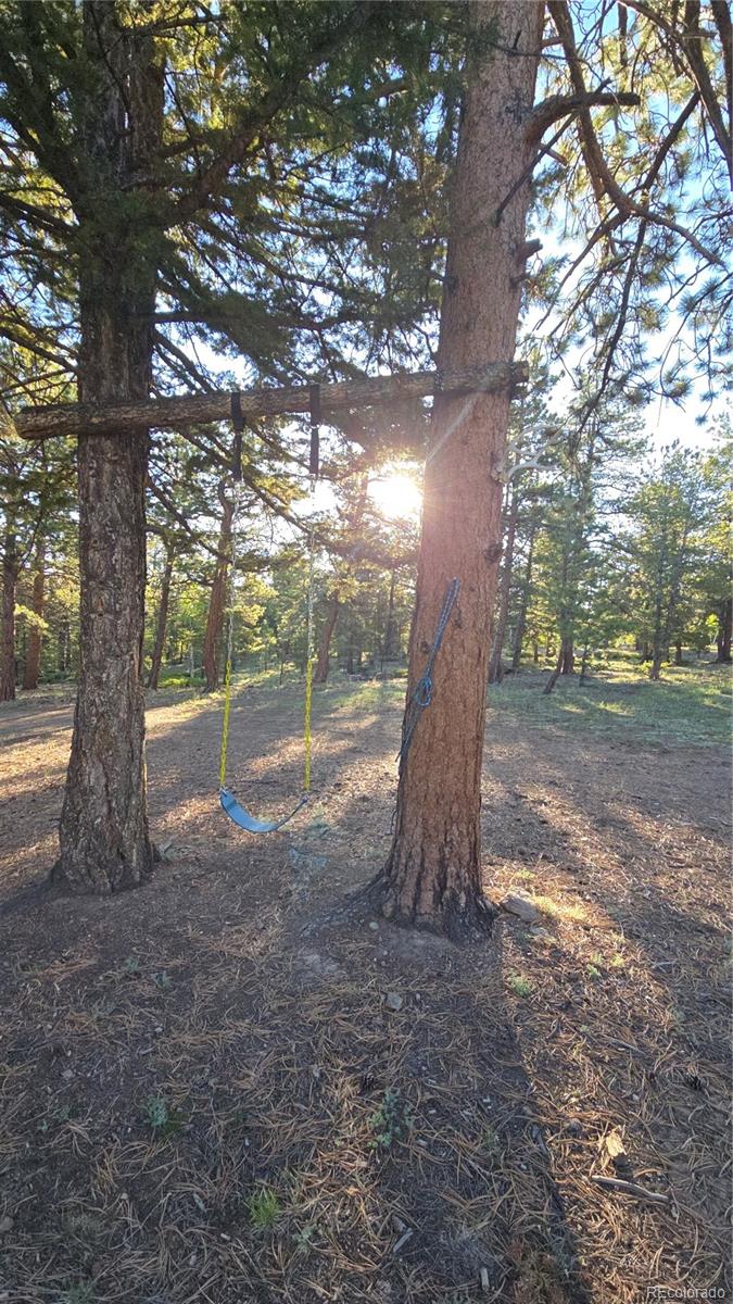Chubb Court Hartsel, CO 80449 - Photo 16 of 17 a view of a tree in the middle of a yard
