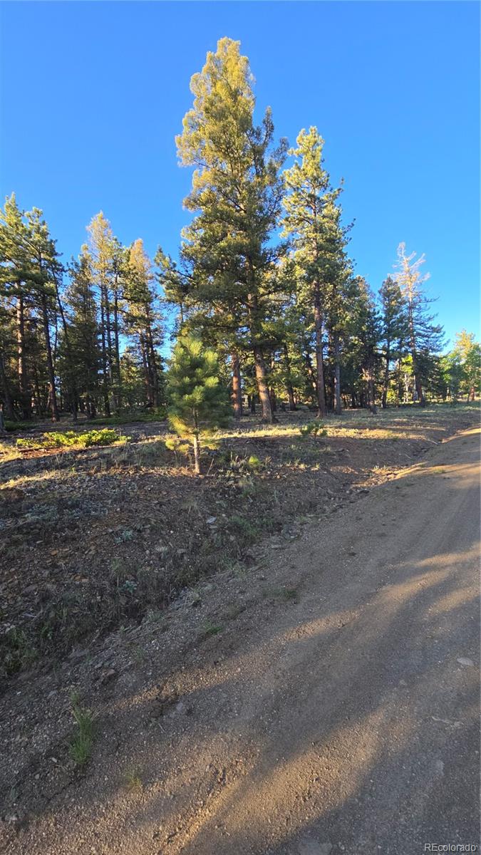 Chubb Court Hartsel, CO 80449 - Photo 2 of 17 a backyard of a house with lots of green space