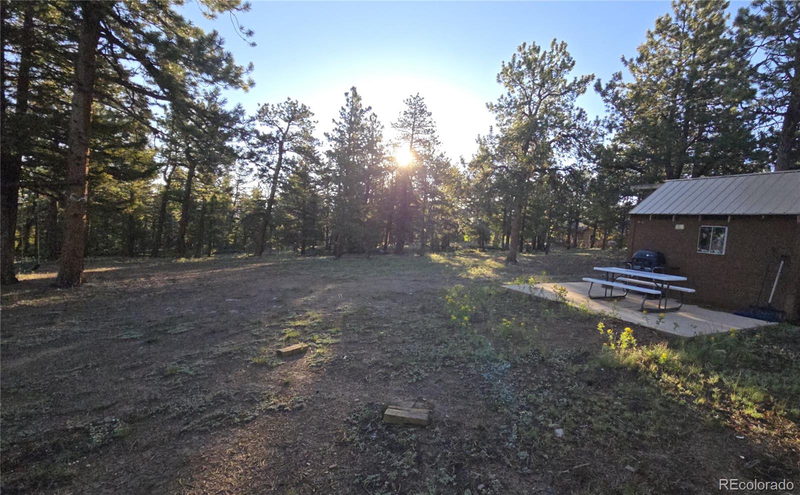 Chubb Court Hartsel, CO 80449 - Photo 6 of 17 a view of a backyard with trees