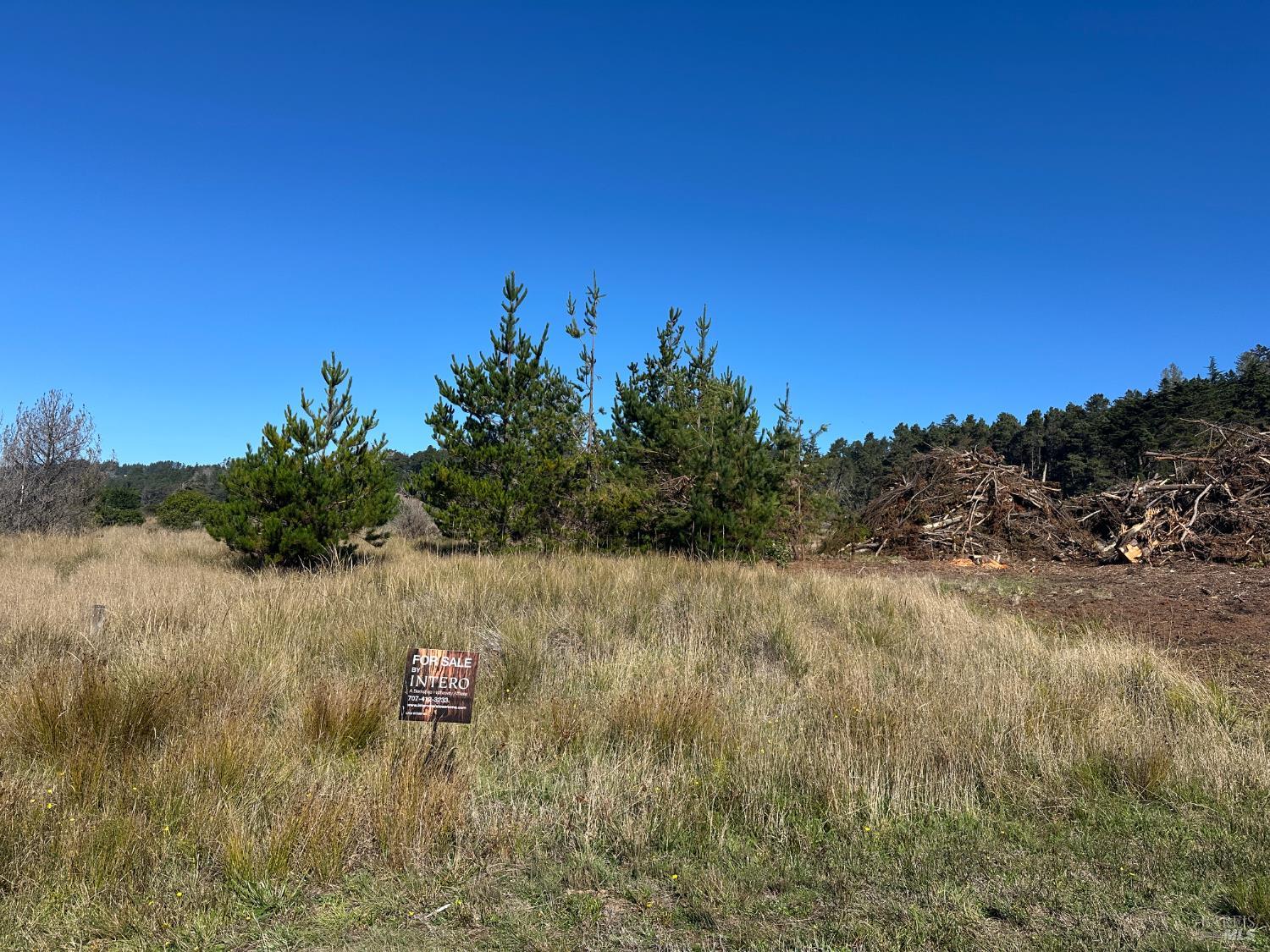 135 Shepherds Close The Sea Ranch, CA 95497 - Photo 3 of 34 Looking at lot from road. TSRA will be clearing brush piles this winter.