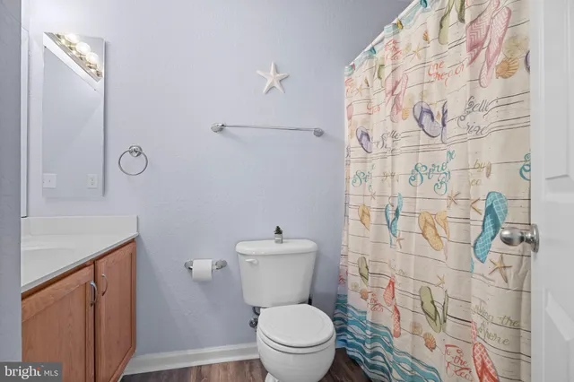 a white toilet sitting next to a shower curtain