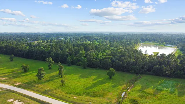 a view of a garden in the backyard