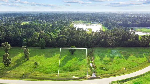 a view of a golf ground with large trees