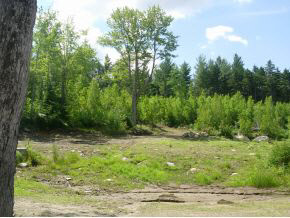 173 Brock Hill Road Grafton, NH 03240 - Photo 13 of 15
