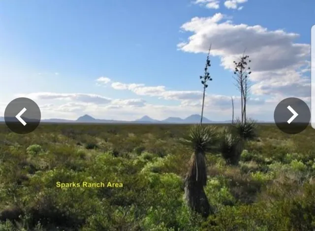 a view of a field with an trees
