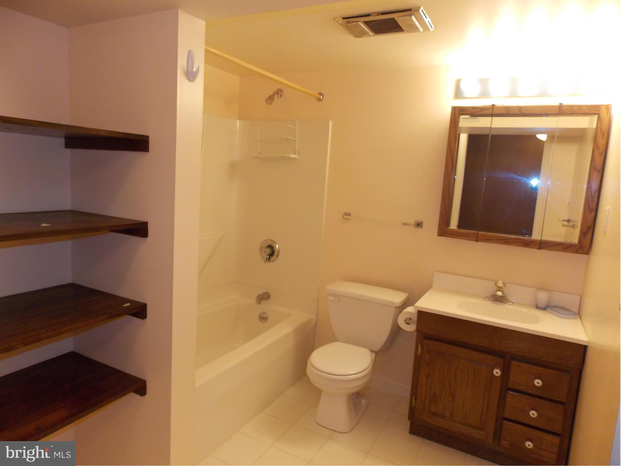 921 Streaker Road Sykesville, MD 21784 - Photo 13 of 25 Bath 2 lower level