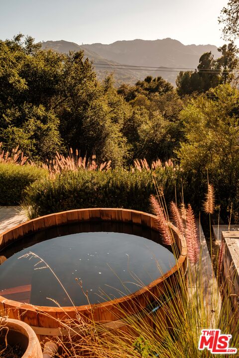 21717 Encina Road Topanga, CA 90290 - Photo 61 of 64 Gallery Image 61
