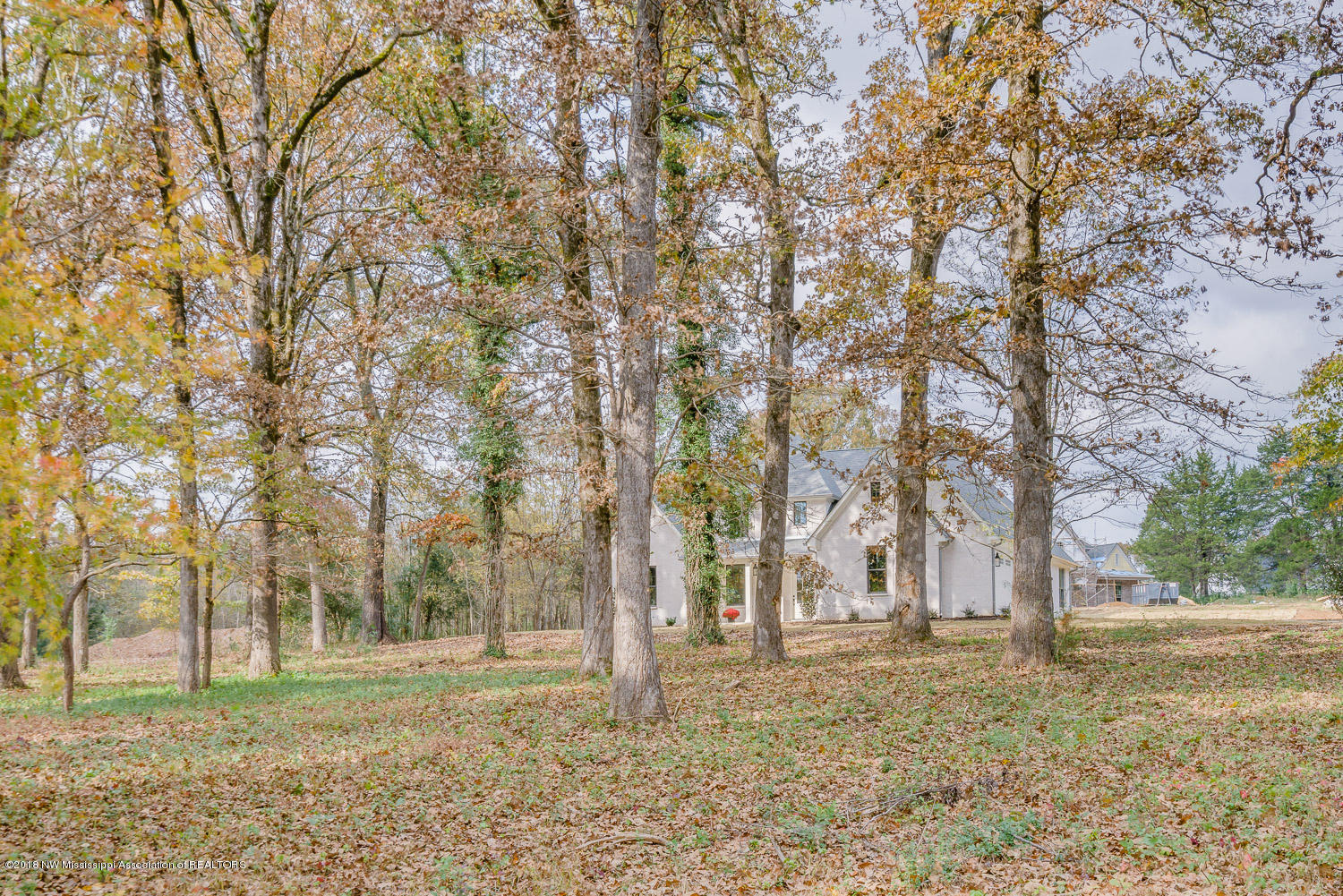 7468 Vaiden Road Hernando, MS 38632 - Photo 3 of 25 7468-Vaiden-..snapsold-screen-181147-5