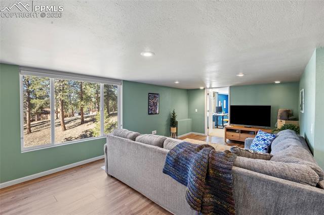 391 Kutsu Ridge Road Florissant, CO 80816 - Photo 31 of 50 Gallery Image 31