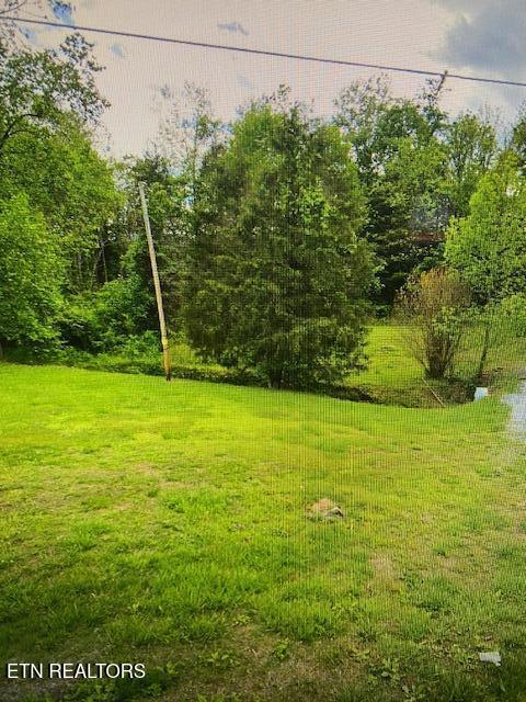 109 Greasy Cove Road Cosby, TN 37722 - Photo 2 of 2 IMG_2160