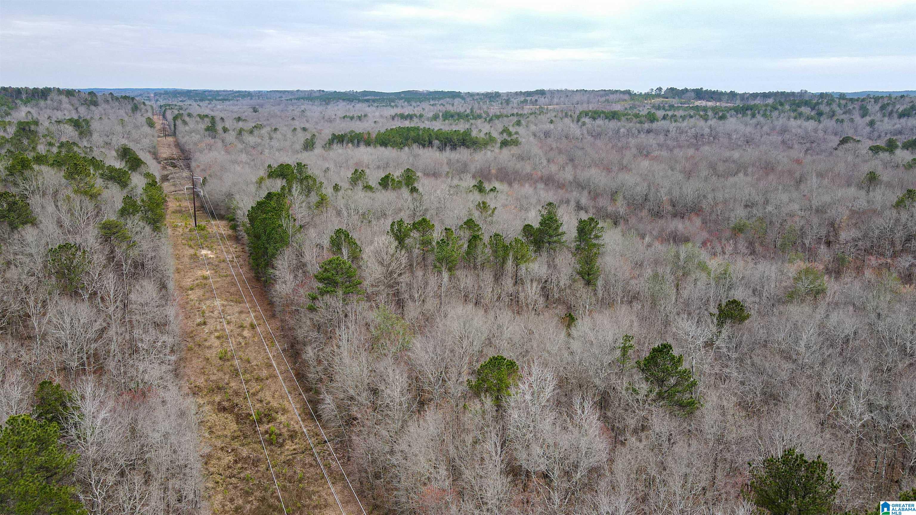 339 County Road Nauvoo, AL 35578 - Photo 13 of 57