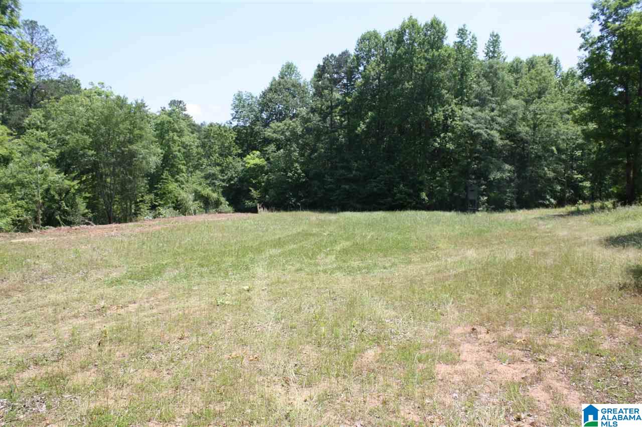 810 Weeks Drive, Unit 152 ACRES Delta, AL 36258 - Photo 19 of 24