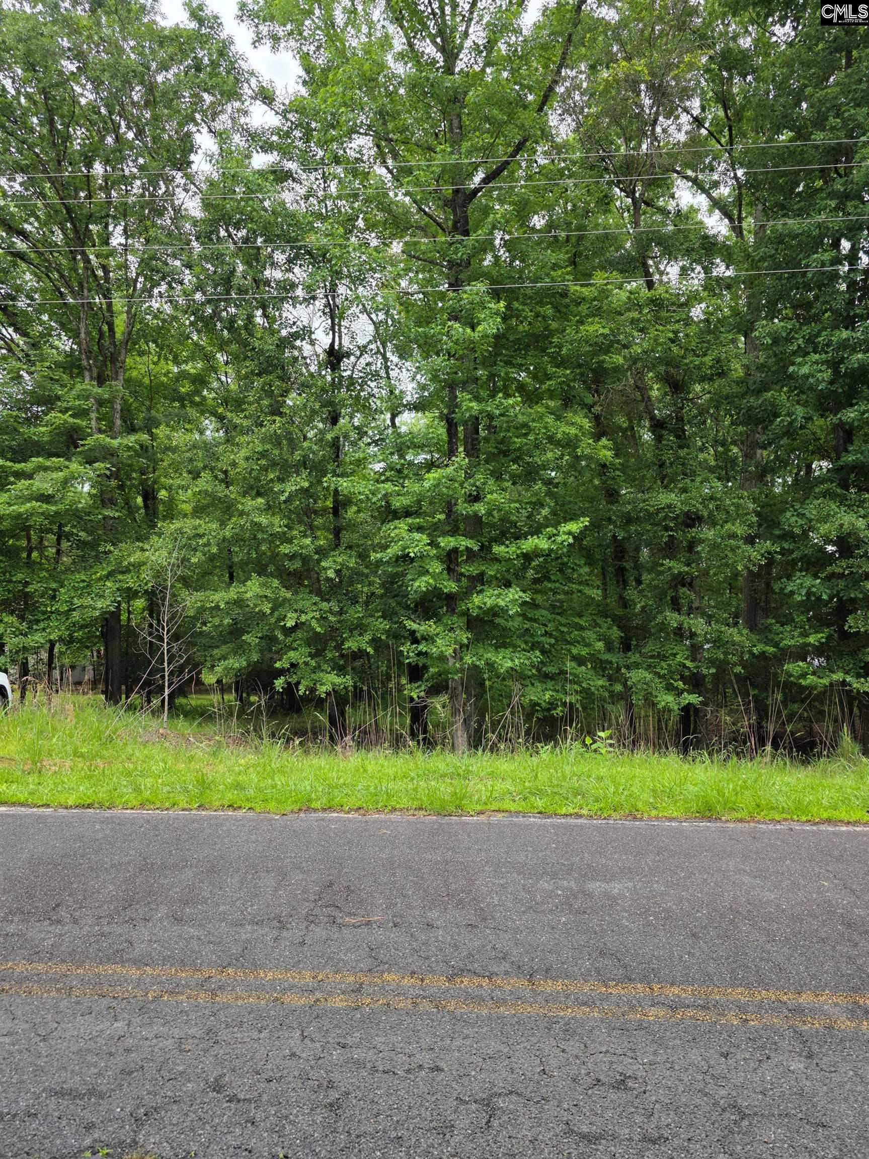 1595 State Rd S-20-317 Winnsboro, SC 29180 - Photo 5 of 8