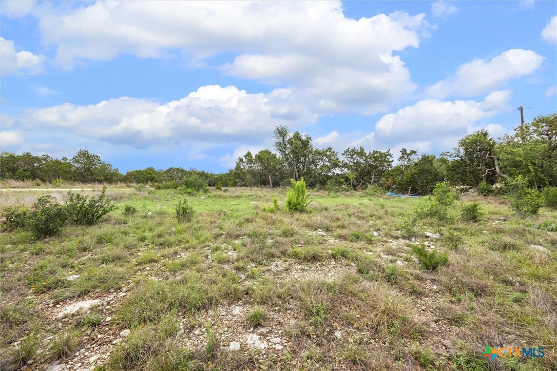865 Rutherford Fischer, TX 78623 - Photo 8 of 11 a view of a lake with houses in the back