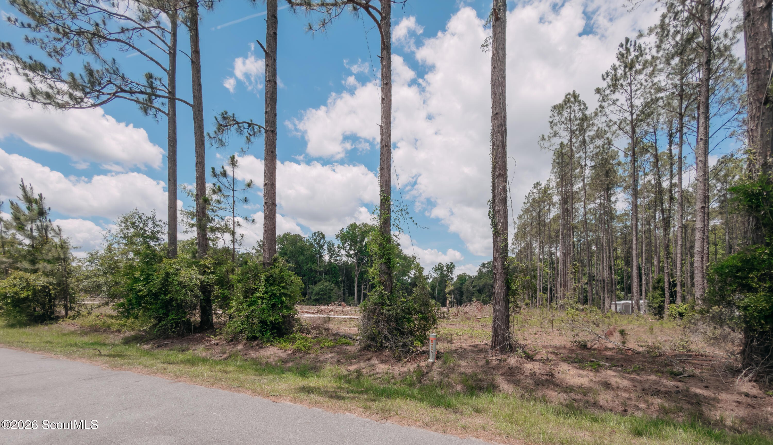 0 Isaac Road Claxton, GA 30417 - Photo 2 of 9