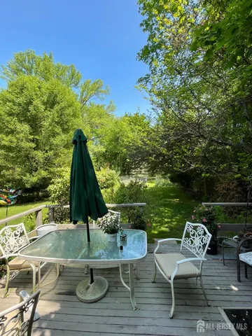 a view of a garden with plants