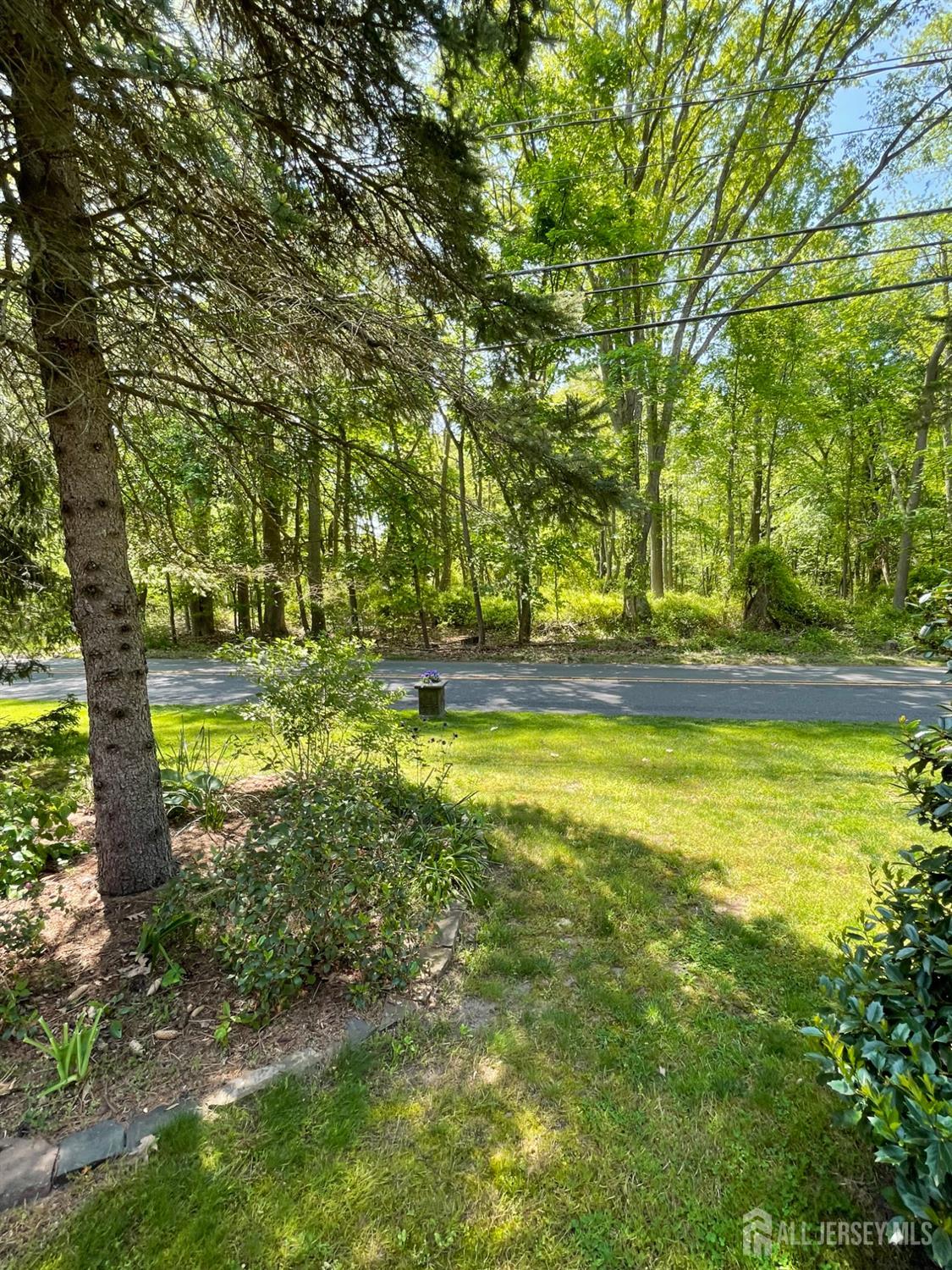 181 Disbrow Hill Road Monroe Township, NJ 08831 - Photo 4 of 21 a view of a yard with swimming pool
