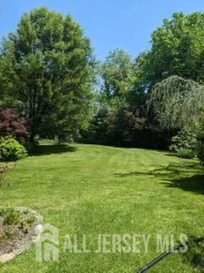 a view of a field of grass and trees