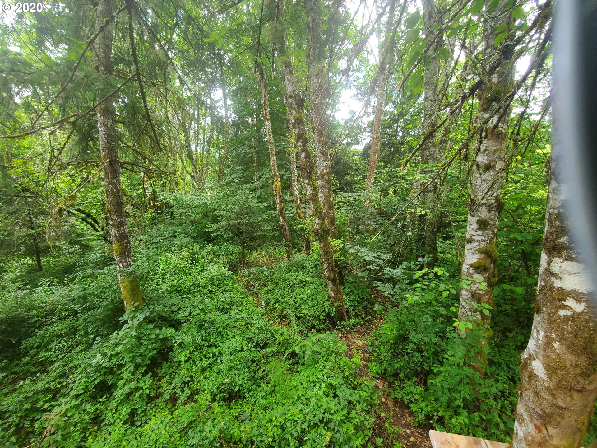 2 Rancho Del Oro Road Stevenson, WA 98648 - Photo 10 of 10