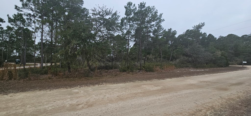 134 Timber Lane Carrabelle, FL 32322 - Photo 2 of 11
