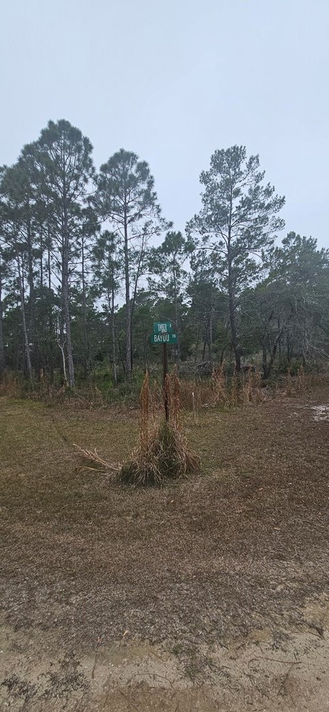 134 Timber Lane Carrabelle, FL 32322 - Photo 6 of 11