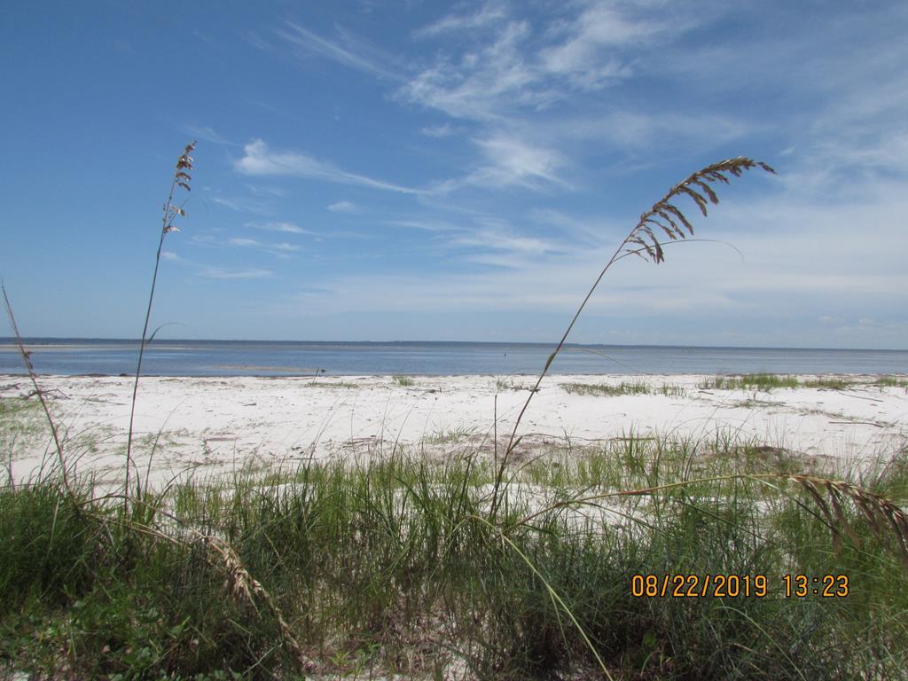 134 Timber Lane Carrabelle, FL 32322 - Photo 10 of 11