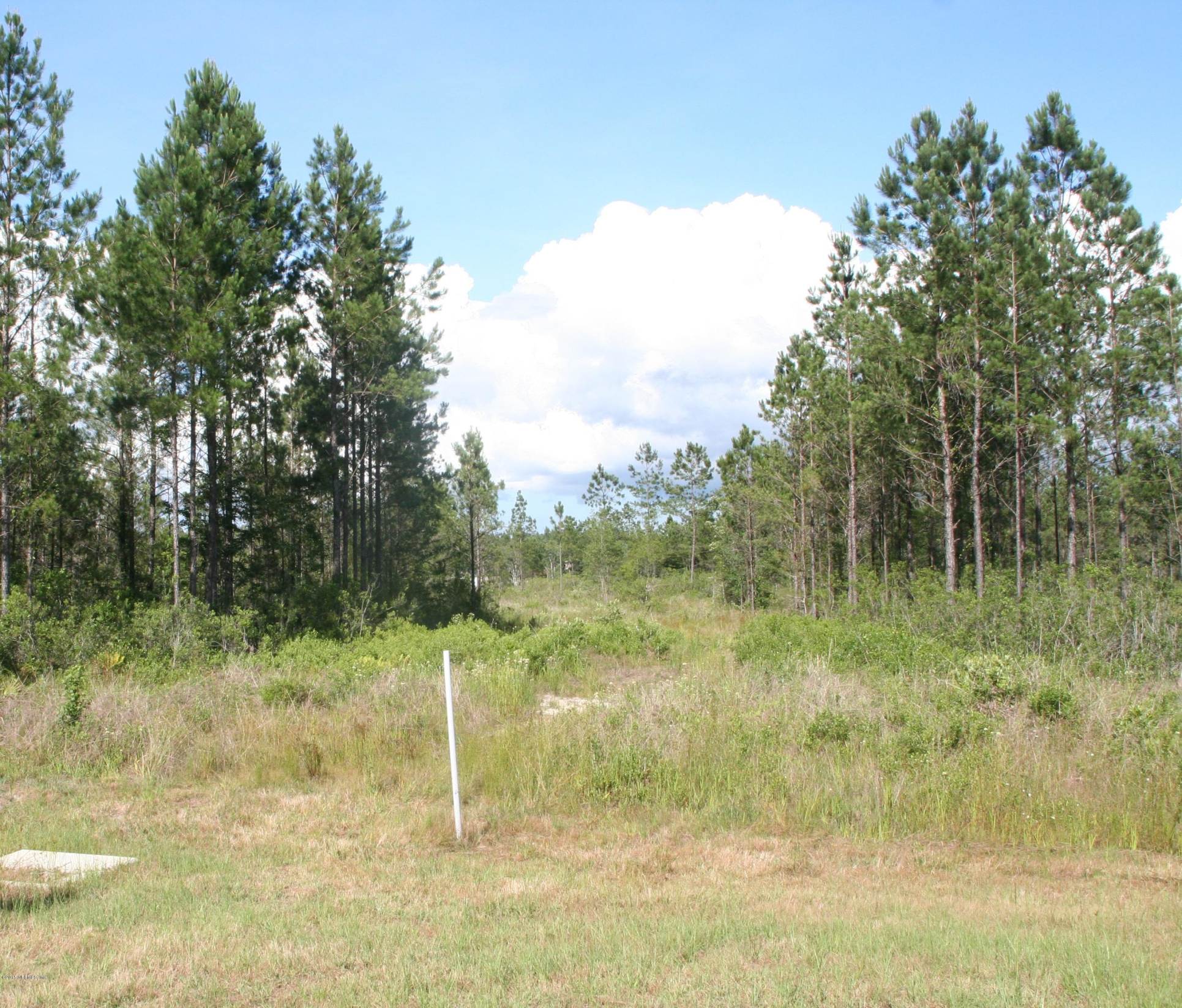 0 Equestrian Way Callahan, FL 32011 - Photo 4 of 8 IMG_2179