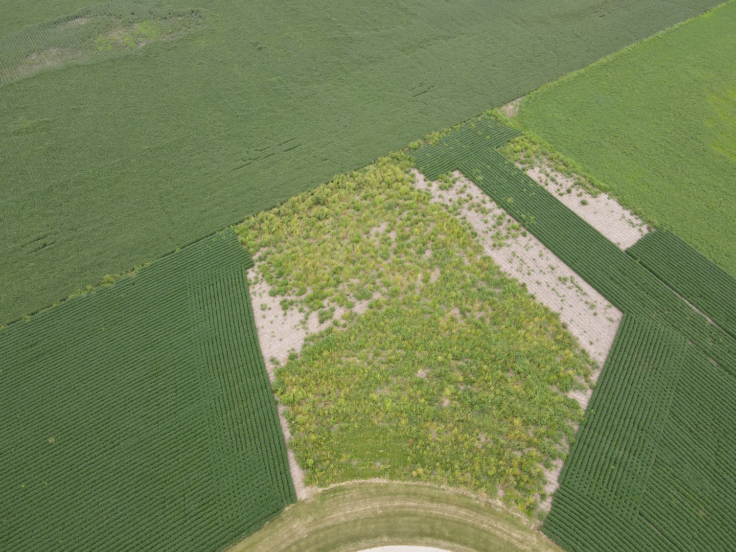 4070 East 2979th Road Newark, IL 60541 - Photo 1 of 15 Gallery Image 1