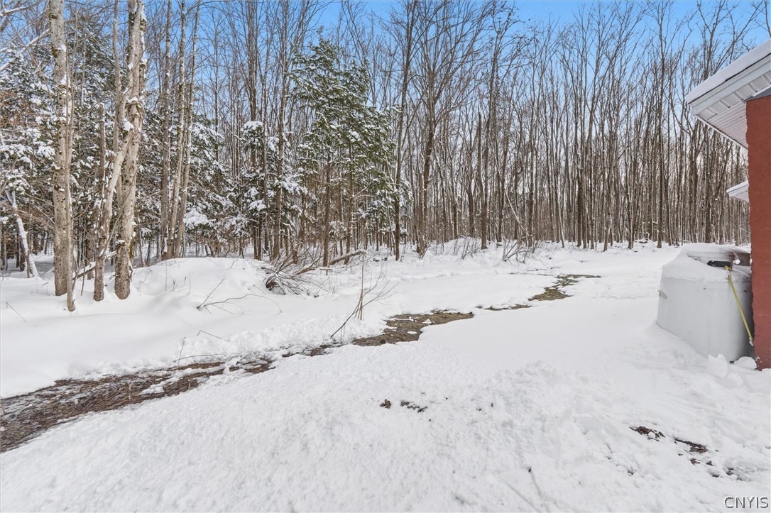 268 Bangall Road Parish, NY 13131 - Photo 27 of 37