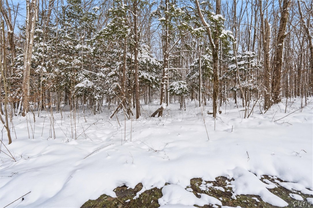 268 Bangall Road Parish, NY 13131 - Photo 28 of 37