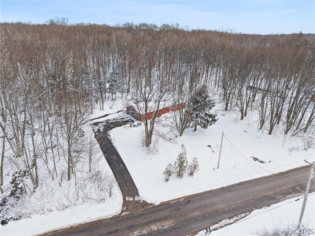 268 Bangall Road Parish, NY 13131 - Photo 29 of 37