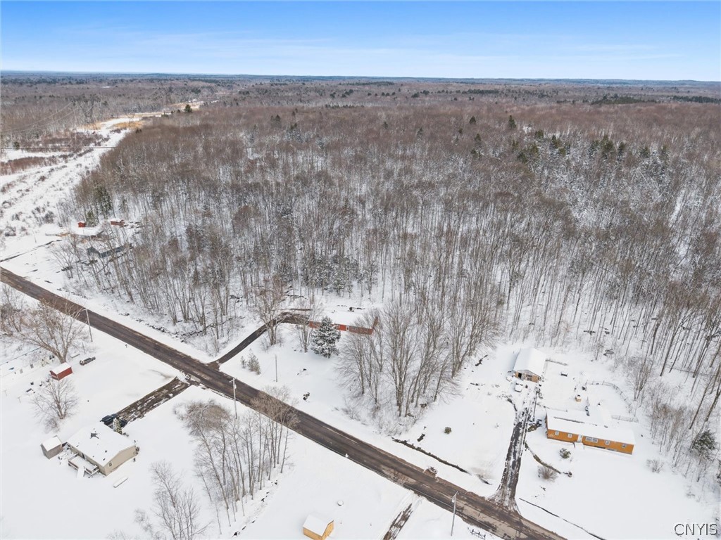 268 Bangall Road Parish, NY 13131 - Photo 31 of 37