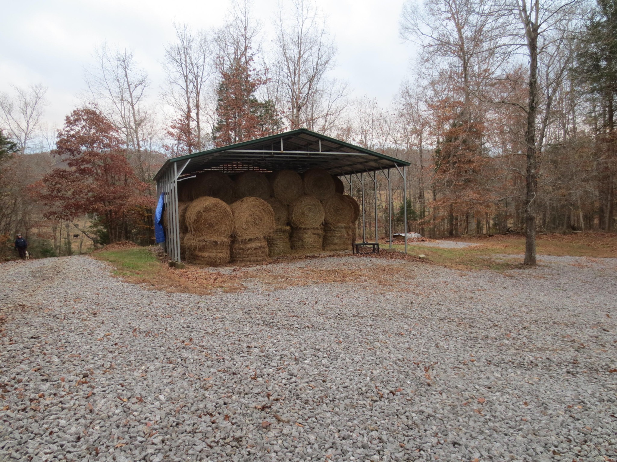 14175 North No Pone Valley Road Decatur, TN 37322 - Photo 33 of 40