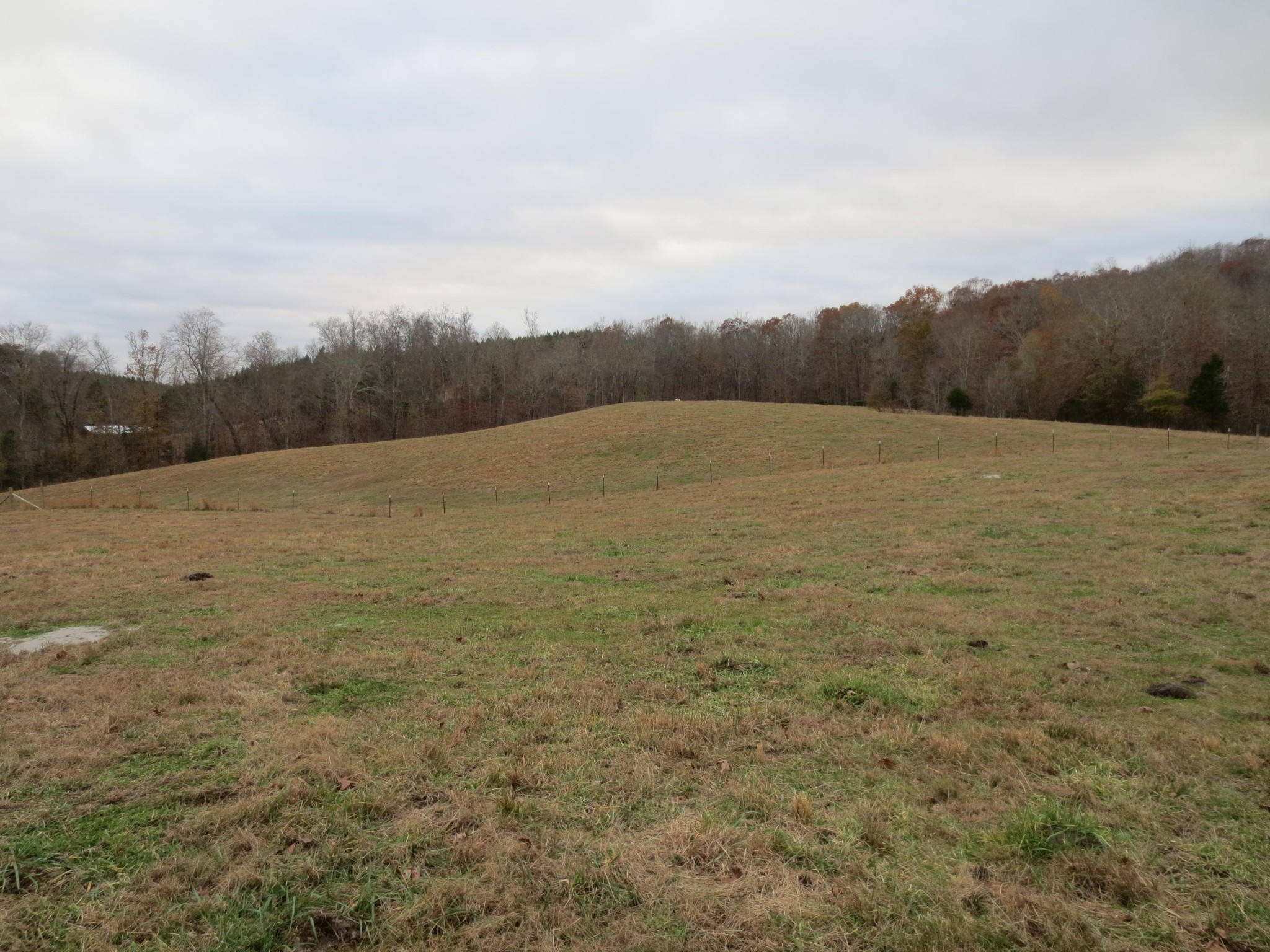 14175 North No Pone Valley Road Decatur, TN 37322 - Photo 36 of 40