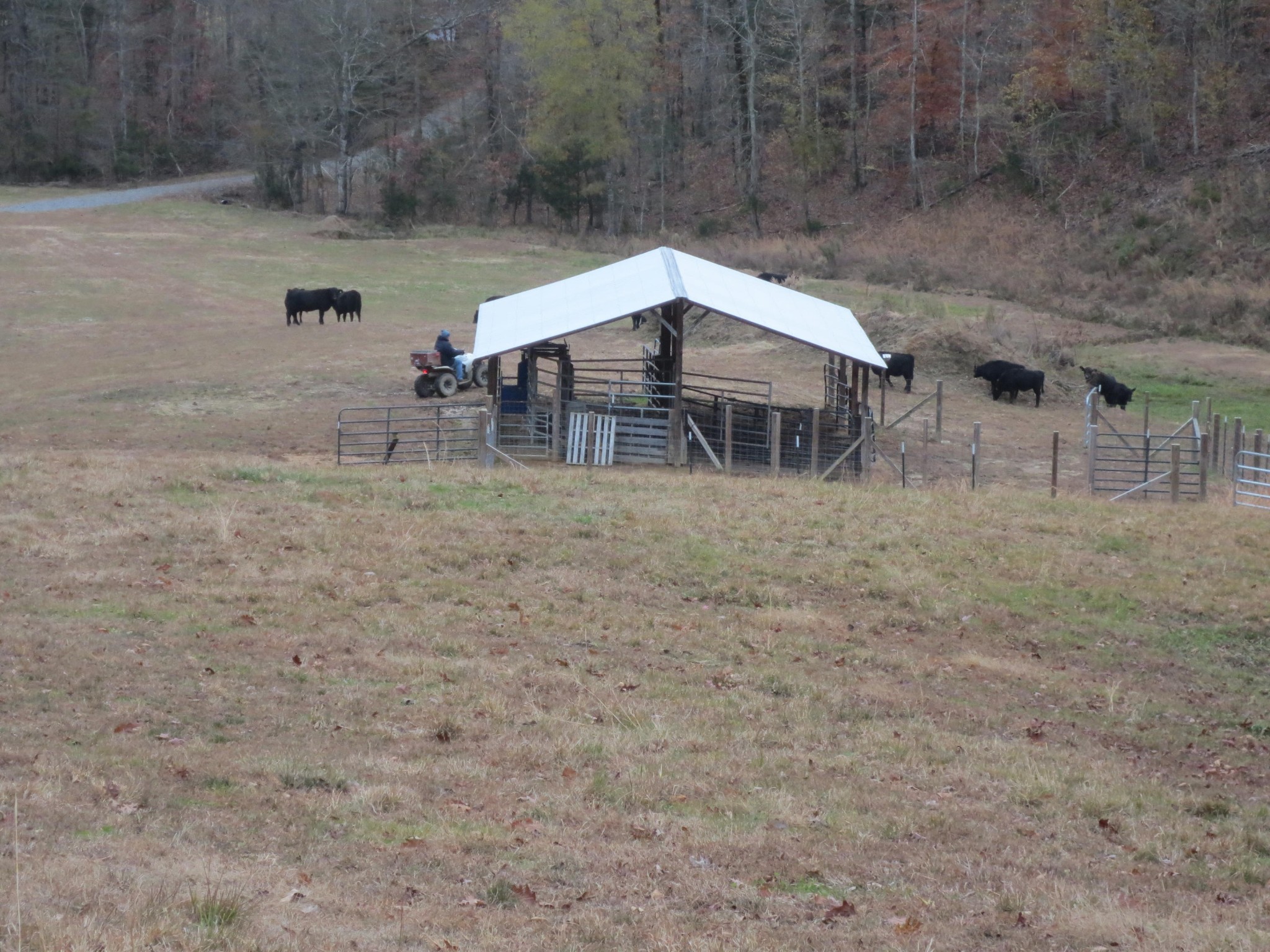 14175 North No Pone Valley Road Decatur, TN 37322 - Photo 6 of 40