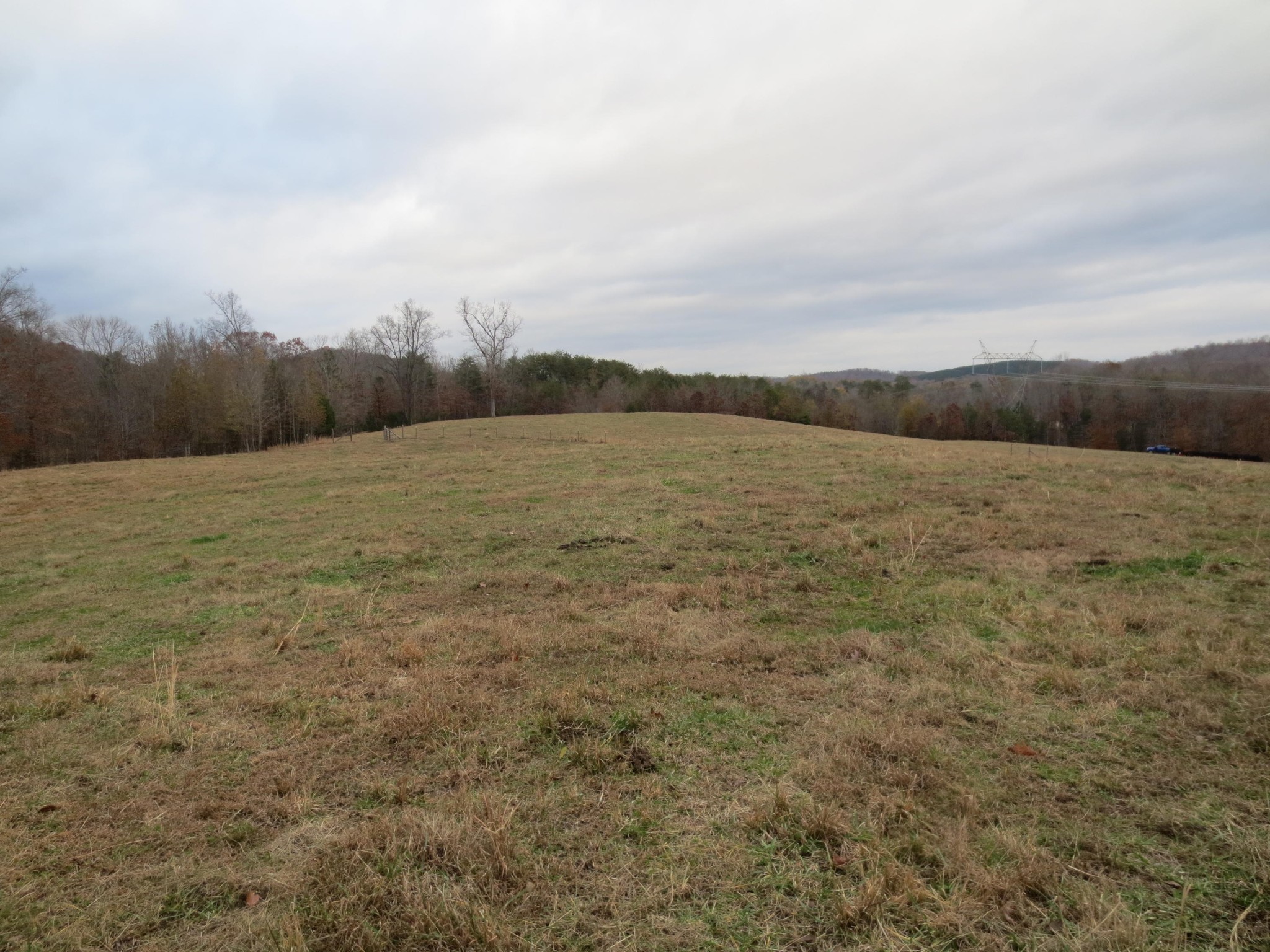 14175 North No Pone Valley Road Decatur, TN 37322 - Photo 9 of 40