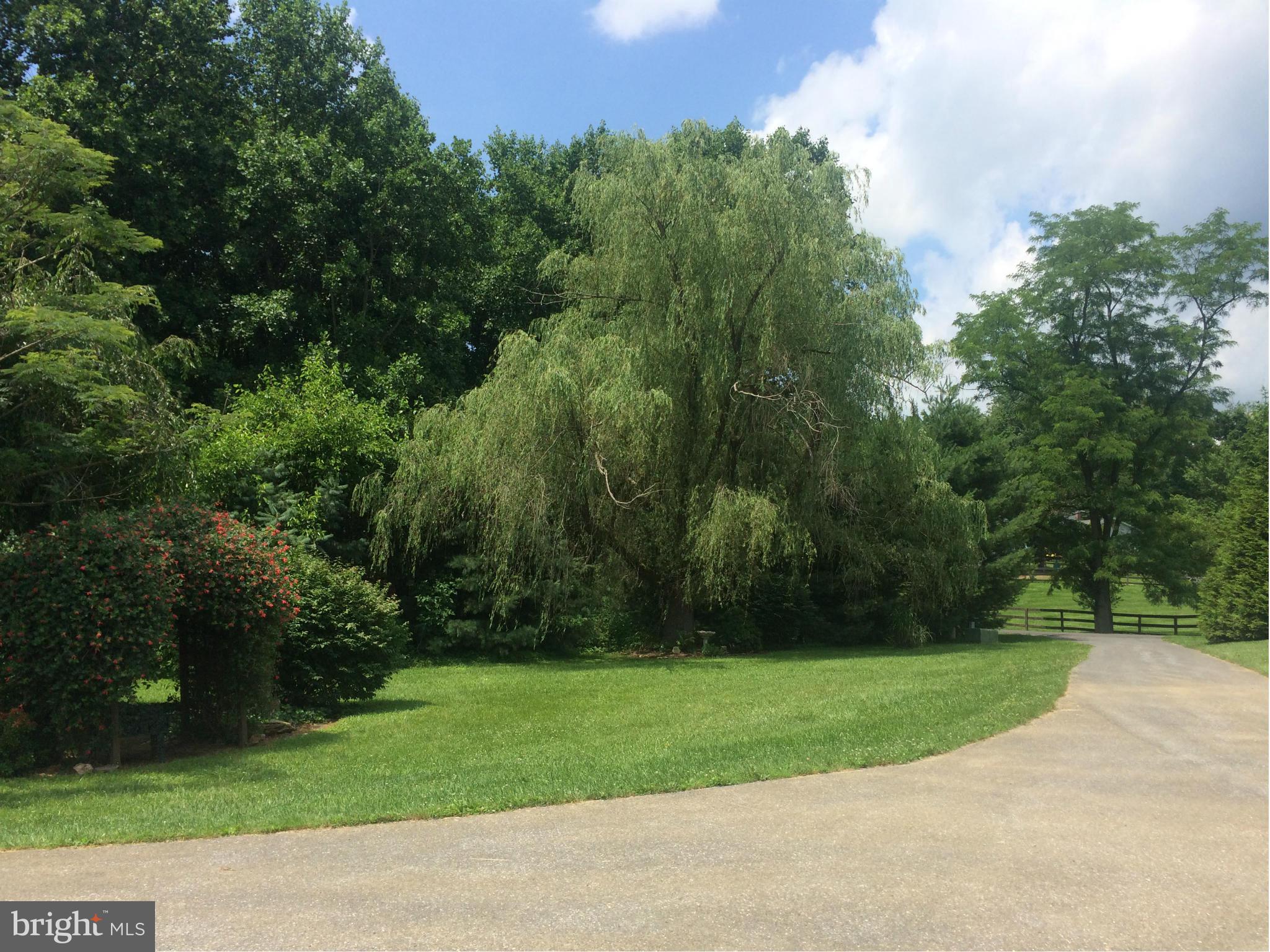 2114 Ebbvale Road Manchester, MD 21102 - Photo 7 of 30 Gorgeous Tree-lined 4.29 Acres!